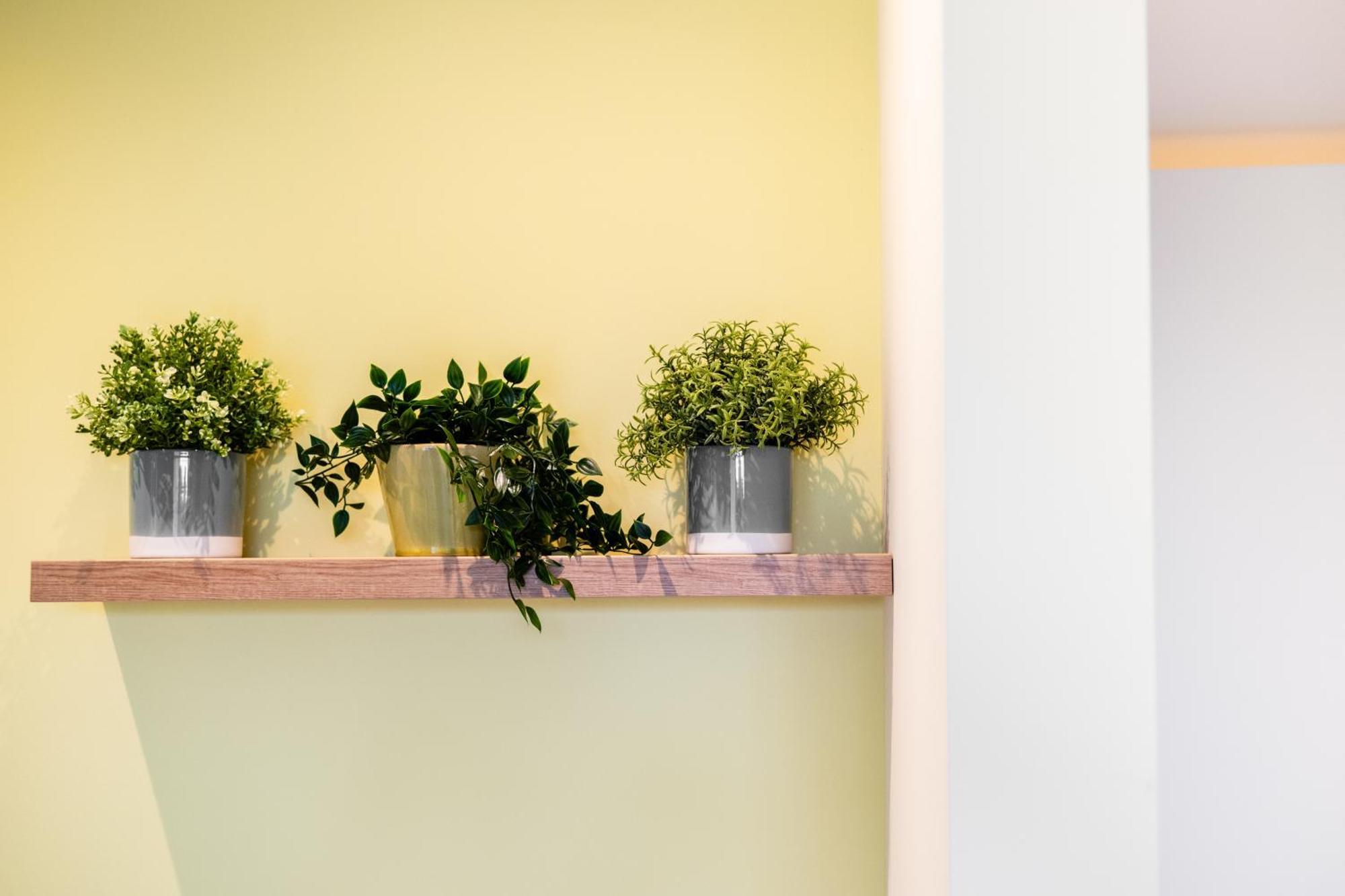 Syba Gastenverblijf Evergem Buitenkant foto